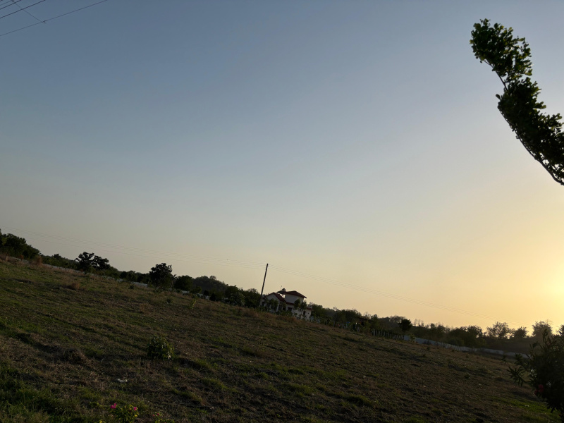  Agricultural Land 5000 Sq.ft. for Sale in Kondhali, Nagpur