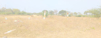 Commercial Land for Sale in Thorrur,, Warangal
