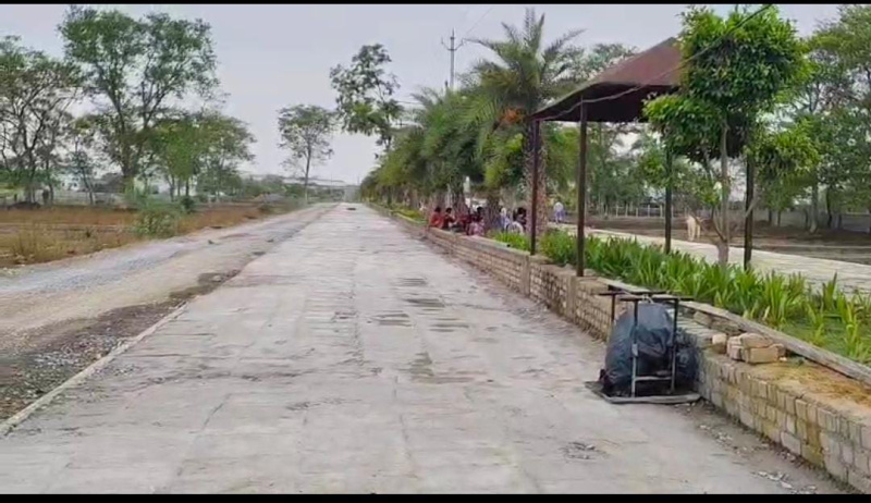  Residential Plot 1000 Sq.ft. for Sale in Masturi, Bilaspur