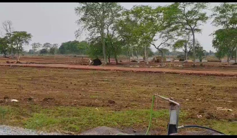  Residential Plot 1000 Sq.ft. for Sale in Masturi, Bilaspur