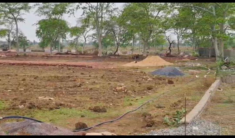  Residential Plot 1000 Sq.ft. for Sale in Masturi, Bilaspur