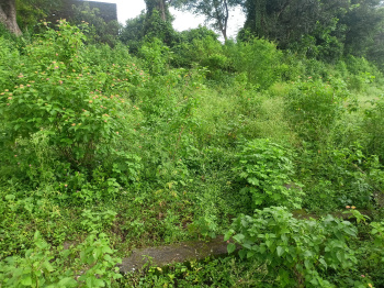  Residential Plot for Sale in Lachhiwala, Dehradun