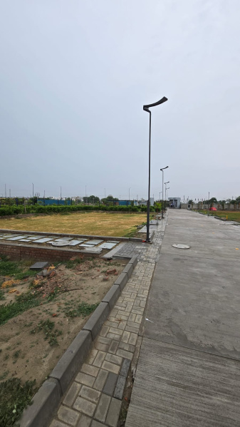  Residential Plot 500 Sq. Yards for Sale in Sector 27 Sonipat