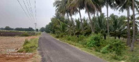  Agricultural Land for Sale in Ravulapalem, East Godavari