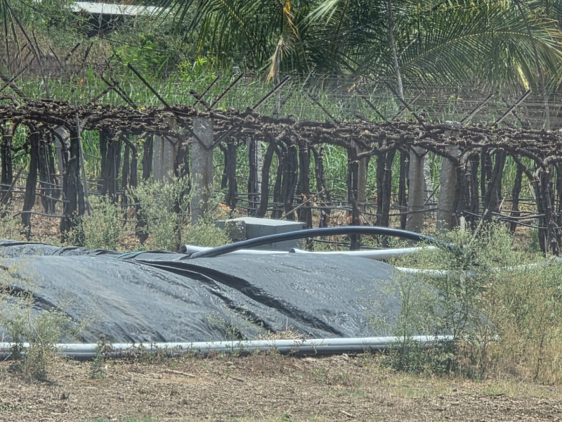  Residential Plot 6 Acre for Sale in Talikota, Vijayapura