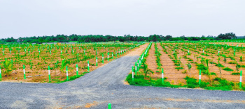  Agricultural Land for Sale in Maduranthakam, Chengalpattu