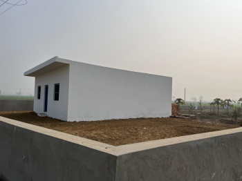  Agricultural Land for Sale in Lalton Kalan, Ludhiana