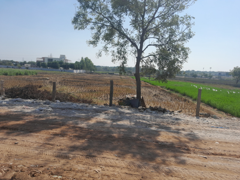  Agricultural Land 1 Ares for Rent in Aziz Nagar, Hyderabad