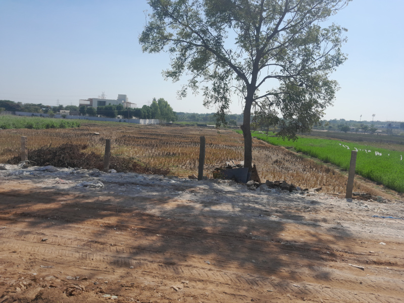  Agricultural Land 50 Guntha for Rent in Aziz Nagar, Hyderabad