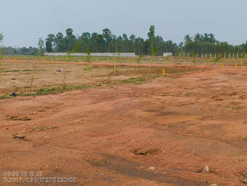  Residential Plot for Sale in Dasapalla Hills Layout, Visakhapatnam