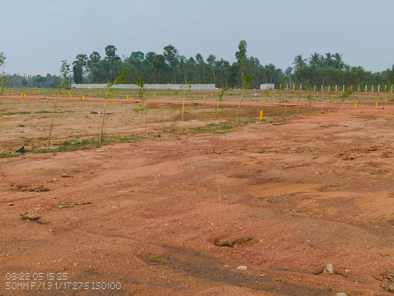  Residential Plot 100 Sq. Yards for Sale in Dasapalla Hills Layout, Visakhapatnam