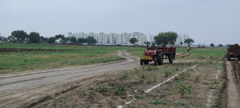  Residential Plot 1800 Sq.ft. for Sale in Peda Palakaluru, Guntur