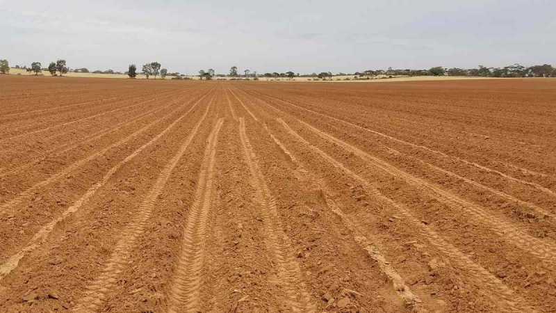  Agricultural Land 4 Acre for Sale in Hattur, Solapur