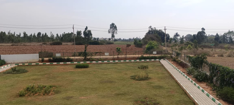  Residential Plot 1200 Sq.ft. for Sale in Malur, Bangalore