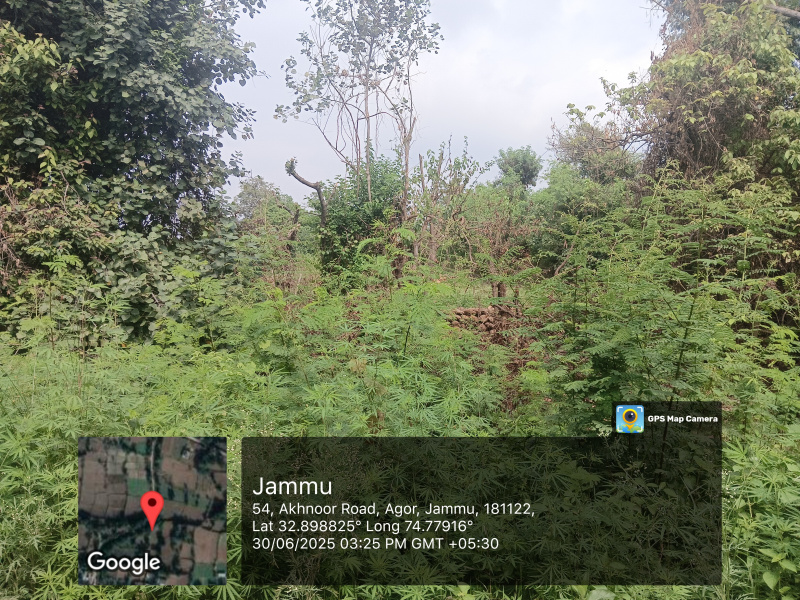  Business Center 9810000 Sq.ft. for Sale in Samba, Jammu
