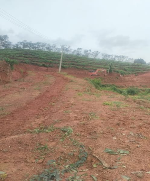 1 BHK Farm House 2 Acre for Sale in Belthangady, Mangalore