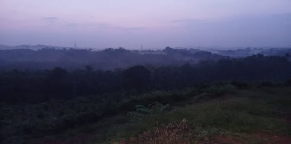 1 BHK Farm House 2 Acre for Sale in Belthangady, Mangalore