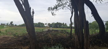  Agricultural Land for Rent in Hindupur, Anantapur
