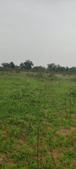  Agricultural Land for Sale in Tupranpet, Hyderabad