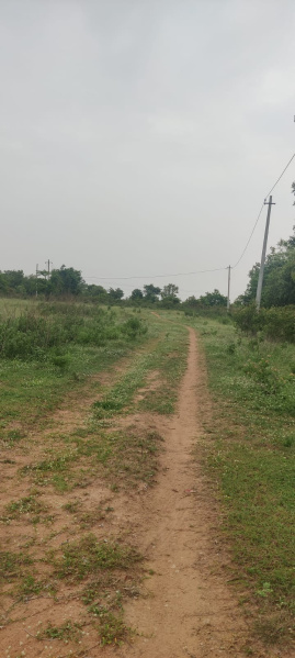  Agricultural Land 5 Acre for Sale in Tupranpet, Hyderabad