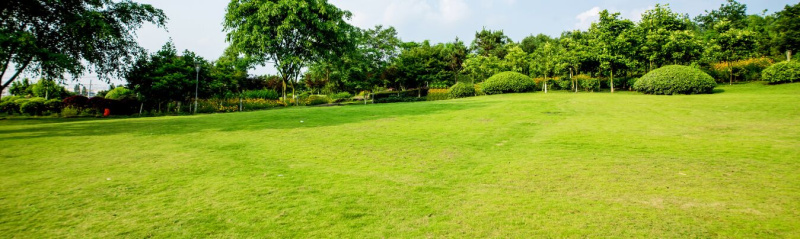  Residential Plot 1350 Sq.ft. for Sale in Farrukhnagar, Gurgaon