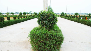  Residential Plot for Sale in Tappal, Aligarh