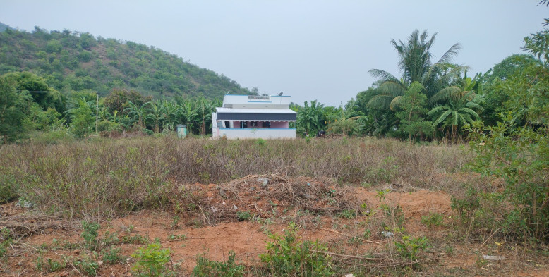  Agricultural Land 3052 Sq.ft. for Sale in Elampillai, Salem