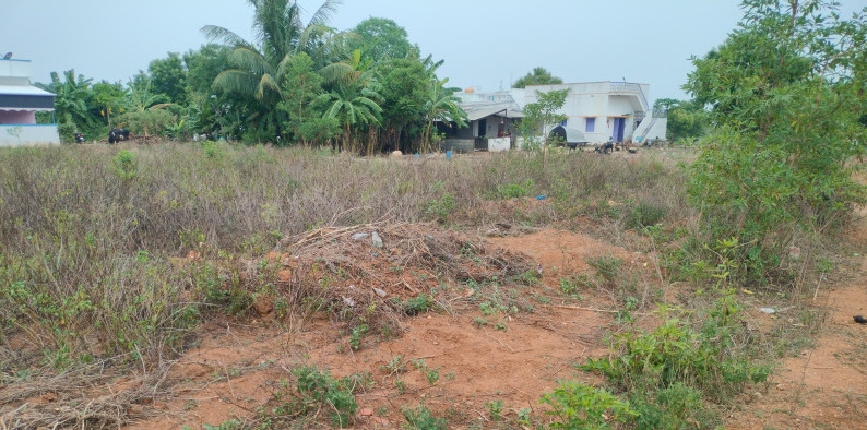  Agricultural Land 3052 Sq.ft. for Sale in Elampillai, Salem
