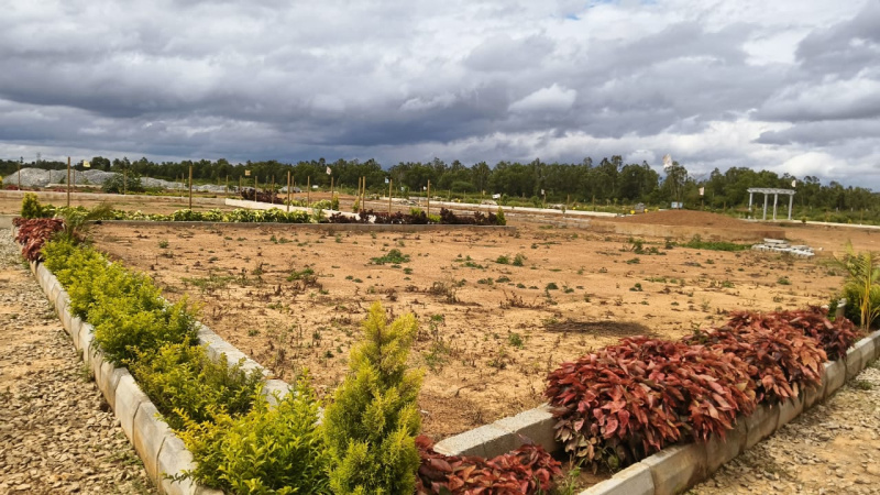  Residential Plot 1200 Sq.ft. for Sale in Hoskote, Bangalore