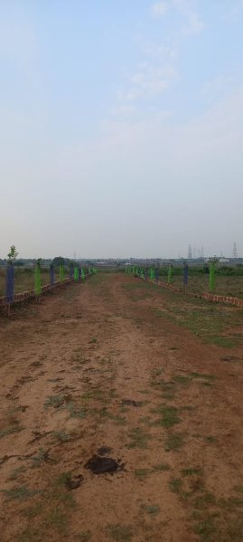  Residential Plot 1200 Sq.ft. for Sale in Gangapada, Bhubaneswar