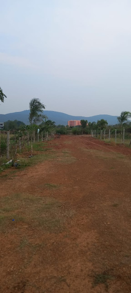  Residential Plot 1200 Sq.ft. for Sale in Gangapada, Bhubaneswar