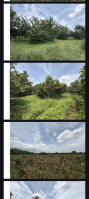  Agricultural Land for Sale in Hunsur Road, Mysore