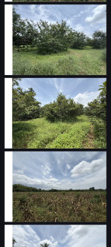  Agricultural Land for Sale in Hunsur Road, Mysore