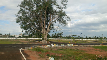  Residential Plot for Sale in Manikandam, Tiruchirappalli