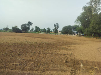  Residential Plot for Sale in Dharmawala, Vikas Nagar, Dehradun
