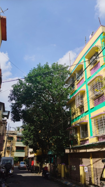 2 BHK Apartment 501 Sq.ft. for Sale in Santoshpur, Kolkata