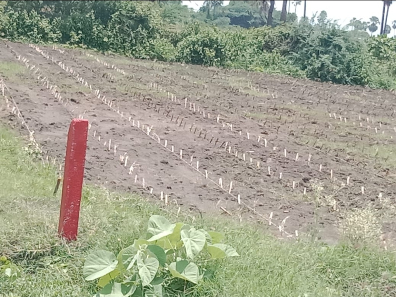  Residential Plot 45 Guntha for Sale in Hanamkonda, Warangal
