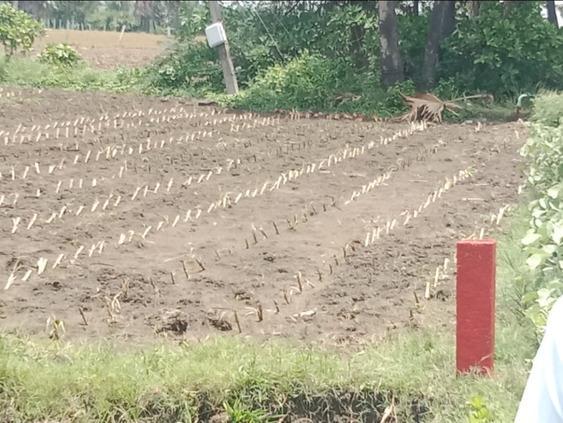  Residential Plot 45 Guntha for Sale in Hanamkonda, Warangal