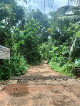  Agricultural Land for Sale in anjur, Thrissur, Thrissur