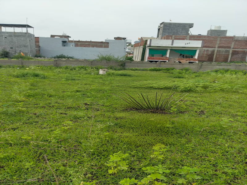 Residential Plot 2535 Sq.ft. for Sale in Nagda, Ujjain