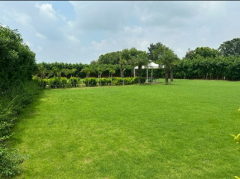 2 BHK Farm House for Sale in Sohna, Gurgaon