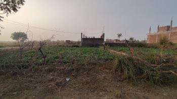  Residential Plot for Sale in Jhalwa, Allahabad