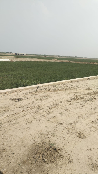  Residential Plot 1000 Sq.ft. for Sale in Kauriya Jungle Village, Gorakhpur