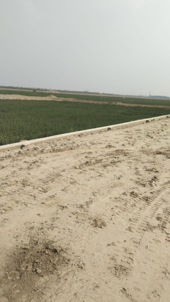  Residential Plot 1000 Sq.ft. for Sale in Kauriya Jungle Village, Gorakhpur