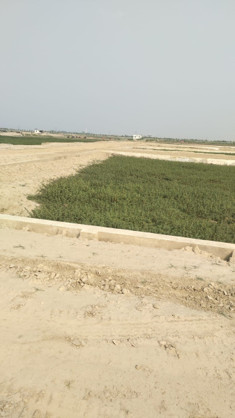  Residential Plot 1000 Sq.ft. for Sale in Kauriya Jungle Village, Gorakhpur