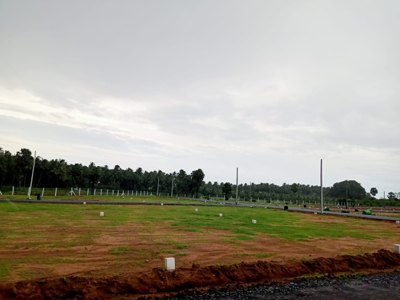  Residential Plot 1350 Sq.ft. for Sale in Kinathukadavu, Coimbatore