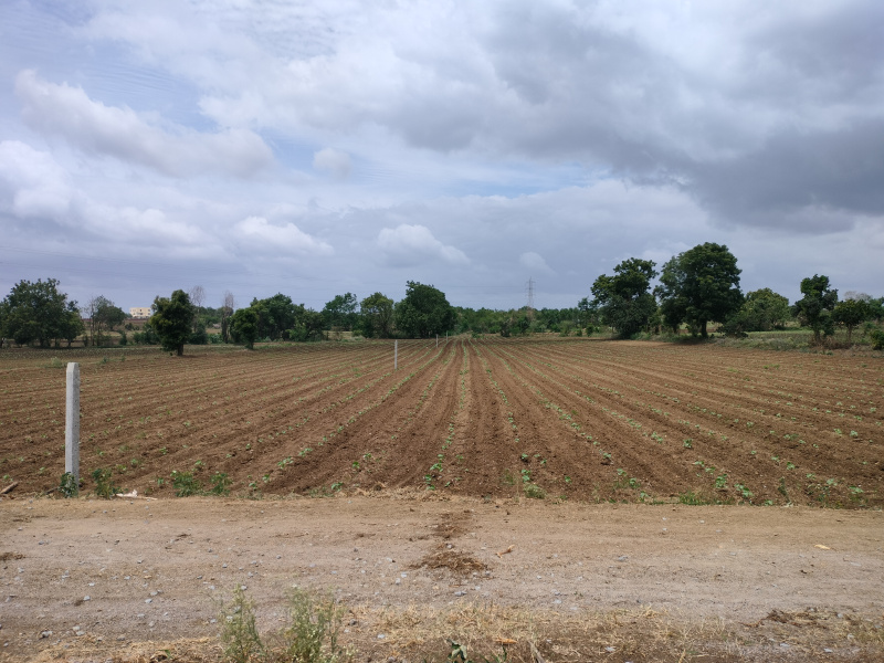  Residential Plot 1 Acre for Sale in Chevella, Hyderabad
