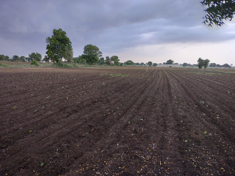  Residential Plot 1 Acre for Sale in Chevella, Hyderabad