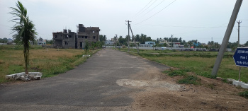  Residential Plot for Sale in Manikandam, Tiruchirappalli