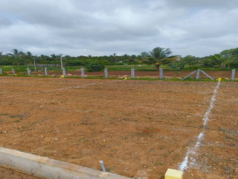  Residential Plot 1000 Sq.ft. for Sale in Nelamangala, Bangalore